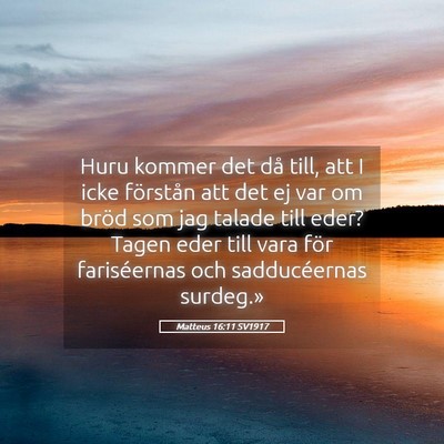 Picture 05 - Matteus 16:11 SV1917 - Huru kommer det då till, att I icke förstån - Bible Verse Picture