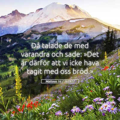 Picture 05 - Matteus 16:7 SV1917 - Då talade de med varandra och sade: »Det är - Bible Verse Picture