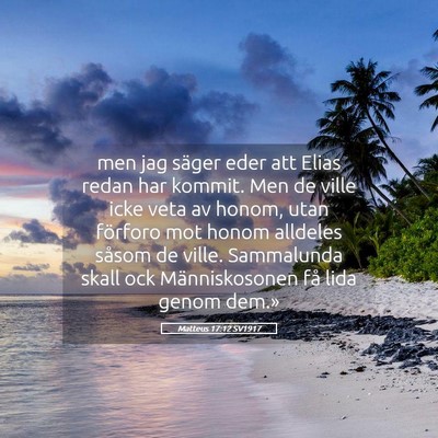 Picture 05 - Matteus 17:12 SV1917 - men jag säger eder att Elias redan har kommit. - Bible Verse Picture