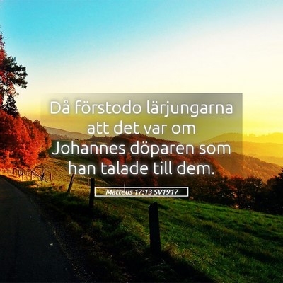 Picture 05 - Matteus 17:13 SV1917 - Då förstodo lärjungarna att det var om - Bible Verse Picture
