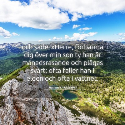 Picture 05 - Matteus 17:15 SV1917 - och sade: »Herre, förbarma dig över min son ty - Bible Verse Picture