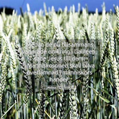 Picture 05 - Matteus 17:22 SV1917 - Medan de nu tillsammans vandrade omkring i - Bible Verse Picture