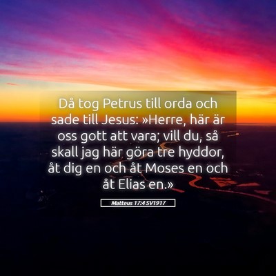 Picture 05 - Matteus 17:4 SV1917 - Då tog Petrus till orda och sade till Jesus: - Bible Verse Picture