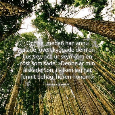 Picture 05 - Matteus 17:5 SV1917 - Och se, medan han ännu talade, överskyggade dem - Bible Verse Picture