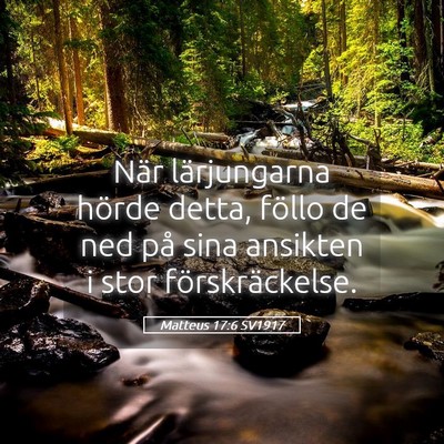 Picture 05 - Matteus 17:6 SV1917 - När lärjungarna hörde detta, föllo de ned på - Bible Verse Picture