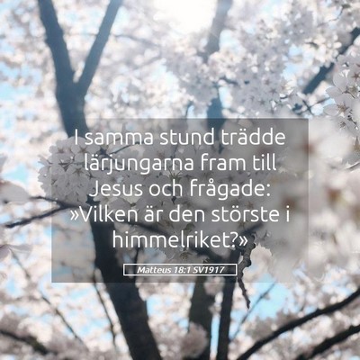 Picture 05 - Matteus 18:1 SV1917 - I samma stund trädde lärjungarna fram till - Bible Verse Picture