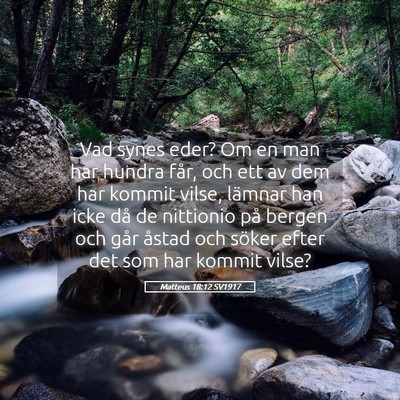 Picture 05 - Matteus 18:12 SV1917 - Vad synes eder? Om en man har hundra får, och - Bible Verse Picture