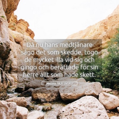 Picture 05 - Matteus 18:31 SV1917 - Då nu hans medtjänare sågo det som skedde, - Bible Verse Picture