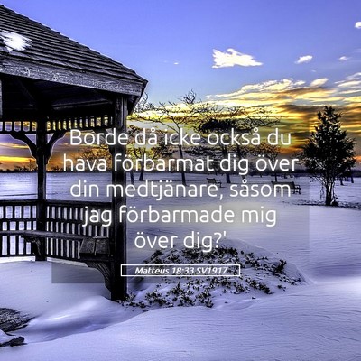 Picture 05 - Matteus 18:33 SV1917 - Borde då icke också du hava förbarmat dig - Bible Verse Picture