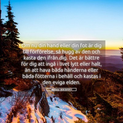 Picture 05 - Matteus 18:8 SV1917 - Om nu din hand eller din fot är dig till - Bible Verse Picture
