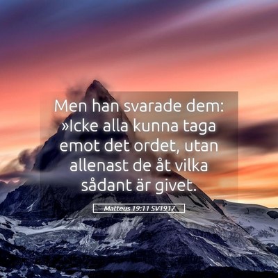 Picture 05 - Matteus 19:11 SV1917 - Men han svarade dem: »Icke alla kunna taga emot - Bible Verse Picture