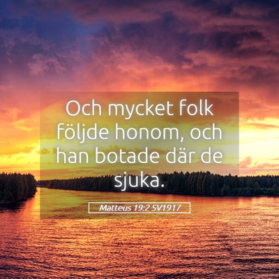 Picture 05 - Matteus 19:2 SV1917 - Och mycket folk följde honom, och han botade - Bible Verse Picture
