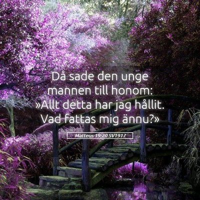 Picture 05 - Matteus 19:20 SV1917 - Då sade den unge mannen till honom: »Allt detta - Bible Verse Picture