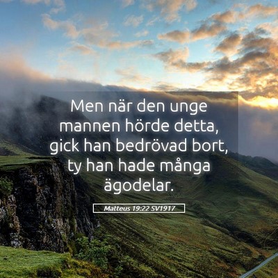 Picture 05 - Matteus 19:22 SV1917 - Men när den unge mannen hörde detta, gick han - Bible Verse Picture