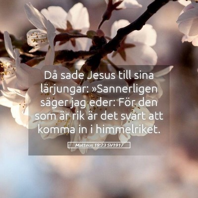 Picture 05 - Matteus 19:23 SV1917 - Då sade Jesus till sina lärjungar: - Bible Verse Picture