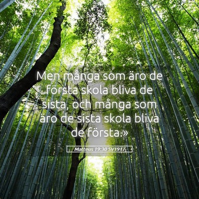 Picture 05 - Matteus 19:30 SV1917 - Men många som äro de första skola bliva de - Bible Verse Picture