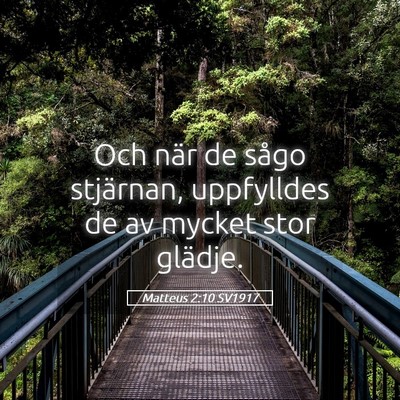Picture 05 - Matteus 2:10 SV1917 - Och när de sågo stjärnan, uppfylldes de av - Bible Verse Picture