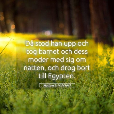 Picture 05 - Matteus 2:14 SV1917 - Då stod han upp och tog barnet och dess moder - Bible Verse Picture