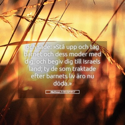 Picture 05 - Matteus 2:20 SV1917 - och sade: »Stå upp och tag barnet och dess - Bible Verse Picture