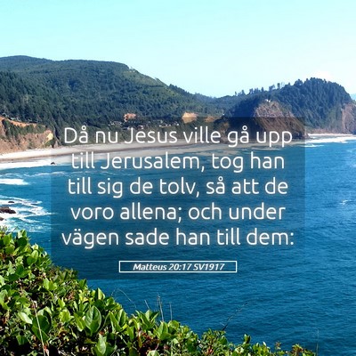 Picture 05 - Matteus 20:17 SV1917 - Då nu Jesus ville gå upp till Jerusalem, tog - Bible Verse Picture