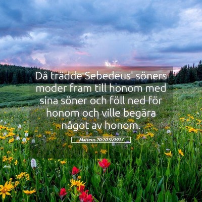 Picture 05 - Matteus 20:20 SV1917 - Då trädde Sebedeus' söners moder fram till - Bible Verse Picture