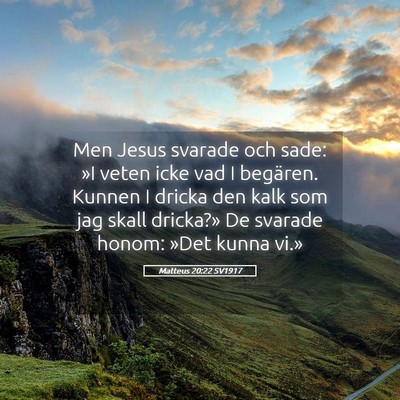 Picture 05 - Matteus 20:22 SV1917 - Men Jesus svarade och sade: »I veten icke vad I - Bible Verse Picture