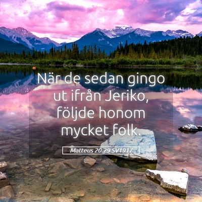 Picture 05 - Matteus 20:29 SV1917 - När de sedan gingo ut ifrån Jeriko, följde - Bible Verse Picture