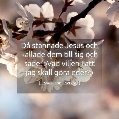 Picture 05 - Matteus 20:32 SV1917 - Då stannade Jesus och kallade dem till sig och - Bible Verse Picture