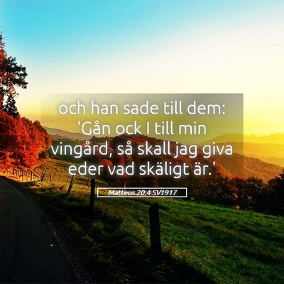Picture 05 - Matteus 20:4 SV1917 - och han sade till dem: 'Gån ock I till min - Bible Verse Picture