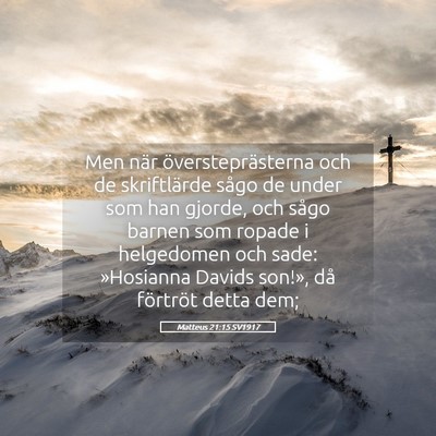 Picture 05 - Matteus 21:15 SV1917 - Men när översteprästerna och de skriftlärde - Bible Verse Picture