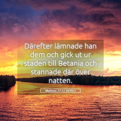 Picture 05 - Matteus 21:17 SV1917 - Därefter lämnade han dem och gick ut ur staden - Bible Verse Picture
