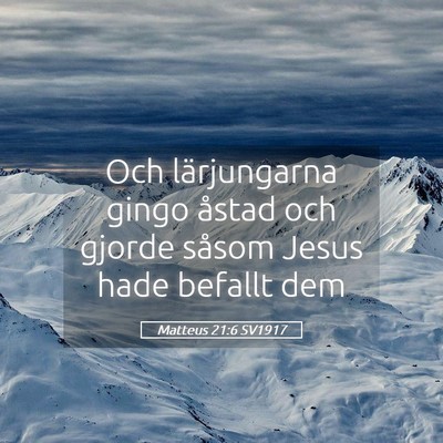 Picture 05 - Matteus 21:6 SV1917 - Och lärjungarna gingo åstad och gjorde såsom - Bible Verse Picture