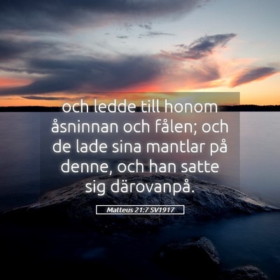Picture 05 - Matteus 21:7 SV1917 - och ledde till honom åsninnan och fålen; och de - Bible Verse Picture
