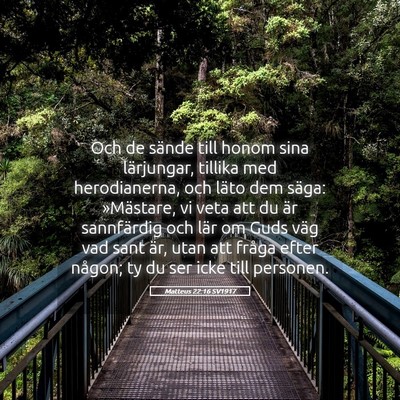 Picture 05 - Matteus 22:16 SV1917 - Och de sände till honom sina lärjungar, tillika - Bible Verse Picture