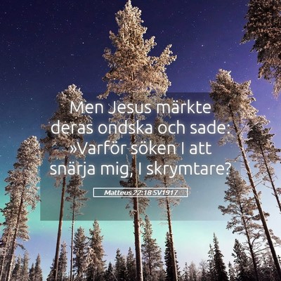 Picture 05 - Matteus 22:18 SV1917 - Men Jesus märkte deras ondska och sade: - Bible Verse Picture