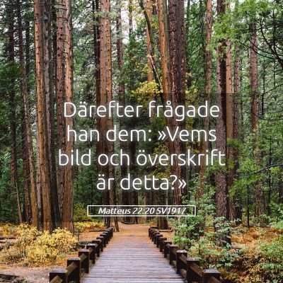 Picture 05 - Matteus 22:20 SV1917 - Därefter frågade han dem: »Vems bild och - Bible Verse Picture