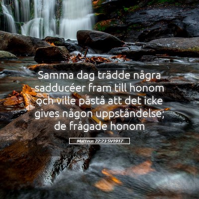 Picture 05 - Matteus 22:23 SV1917 - Samma dag trädde några sadducéer fram till - Bible Verse Picture