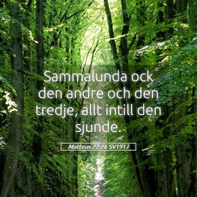Picture 05 - Matteus 22:26 SV1917 - Sammalunda ock den andre och den tredje, allt - Bible Verse Picture