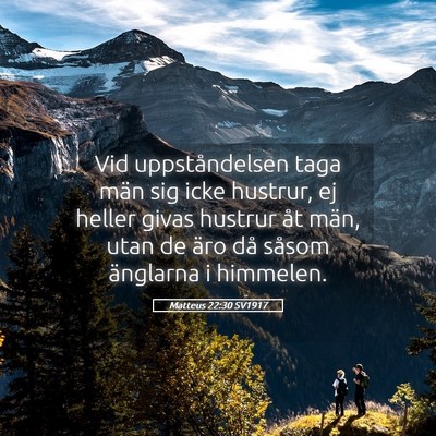 Picture 05 - Matteus 22:30 SV1917 - Vid uppståndelsen taga män sig icke hustrur, ej - Bible Verse Picture