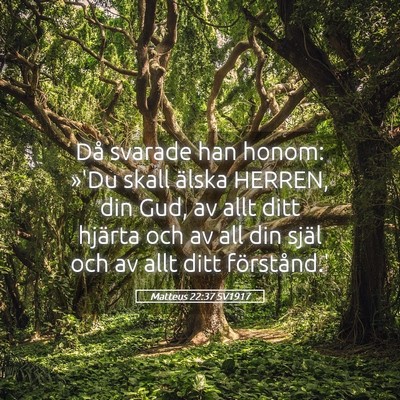 Picture 05 - Matteus 22:37 SV1917 - Då svarade han honom: »'Du skall älska HERREN, - Bible Verse Picture
