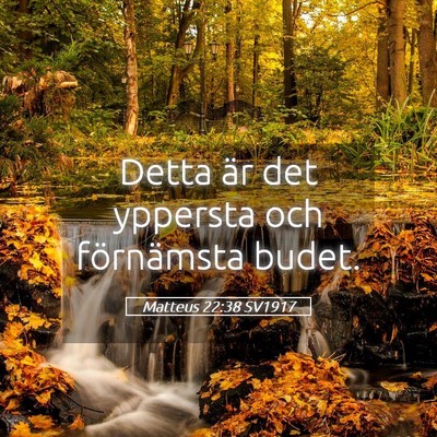 Picture 05 - Matteus 22:38 SV1917 - Detta är det yppersta och förnämsta - Bible Verse Picture