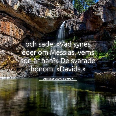 Picture 05 - Matteus 22:42 SV1917 - och sade: »Vad synes eder om Messias, vems son - Bible Verse Picture