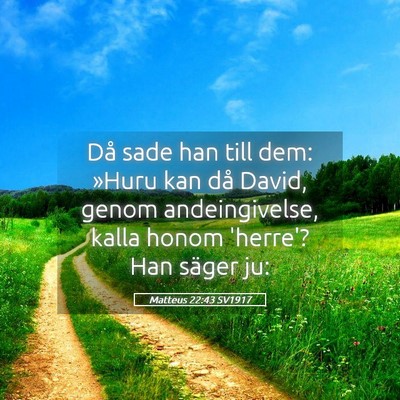 Picture 05 - Matteus 22:43 SV1917 - Då sade han till dem: »Huru kan då David, - Bible Verse Picture