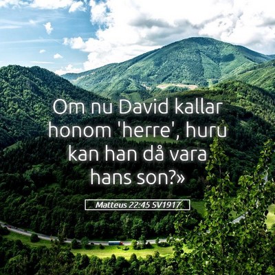 Picture 05 - Matteus 22:45 SV1917 - Om nu David kallar honom 'herre', huru kan han - Bible Verse Picture