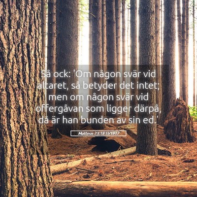 Picture 05 - Matteus 23:18 SV1917 - Så ock: 'Om någon svär vid altaret, så - Bible Verse Picture