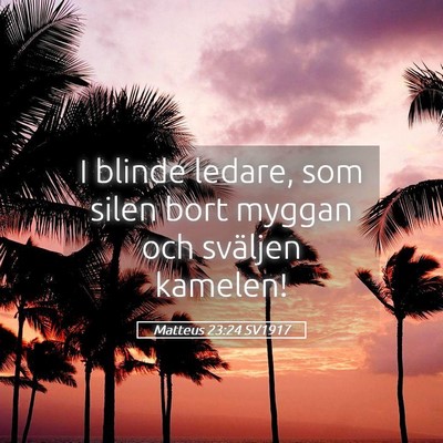 Picture 05 - Matteus 23:24 SV1917 - I blinde ledare, som silen bort myggan och - Bible Verse Picture