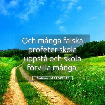 Picture 05 - Matteus 24:11 SV1917 - Och många falska profeter skola uppstå och - Bible Verse Picture