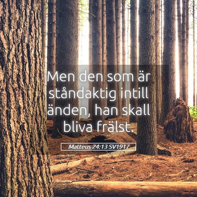 Picture 05 - Matteus 24:13 SV1917 - Men den som är ståndaktig intill änden, han - Bible Verse Picture