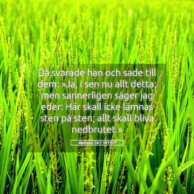 Picture 05 - Matteus 24:2 SV1917 - Då svarade han och sade till dem: »Ja, I sen nu - Bible Verse Picture