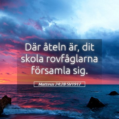 Picture 05 - Matteus 24:28 SV1917 - Där åteln är, dit skola rovfåglarna församla - Bible Verse Picture